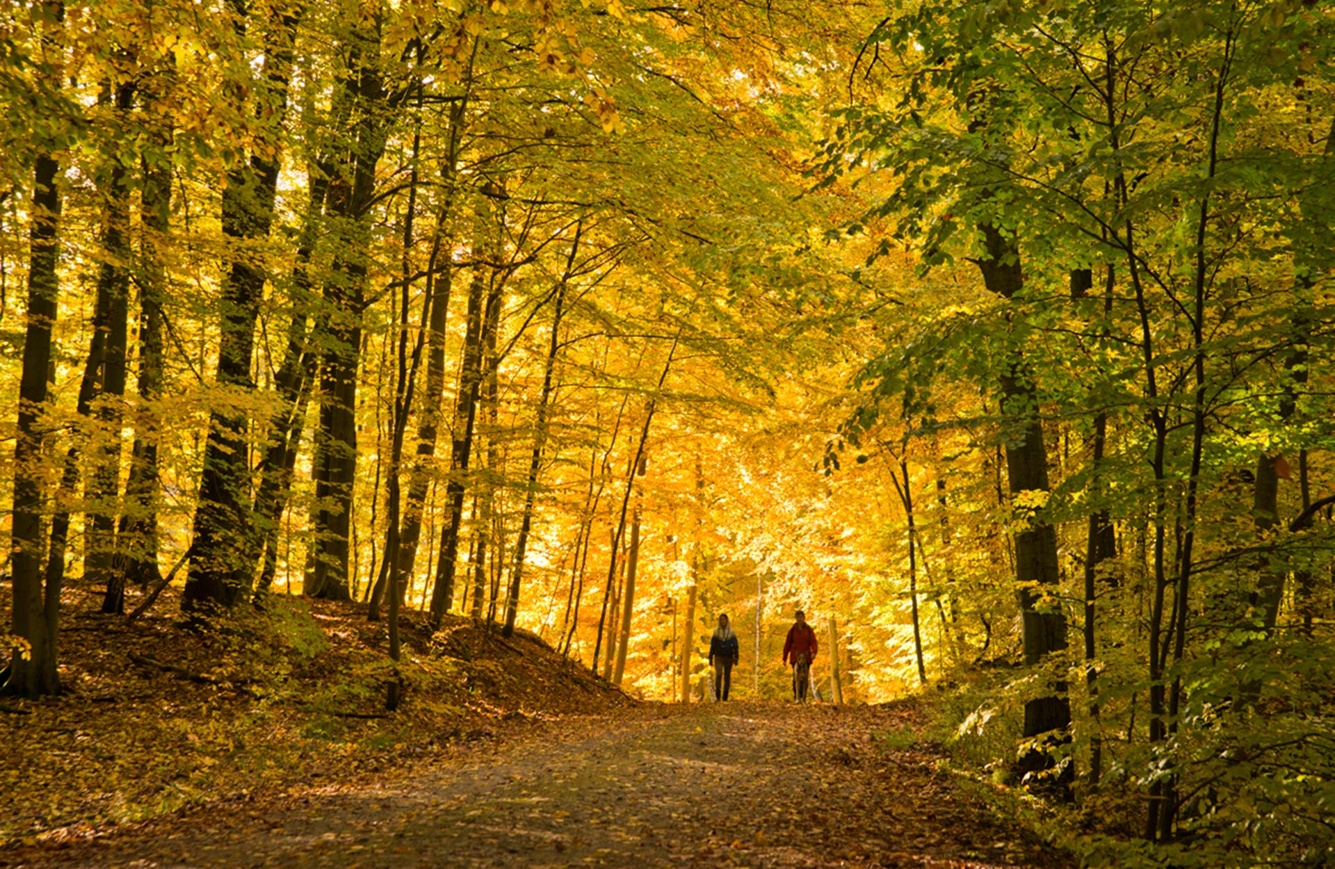 Aufnahme zweier Personen in einem Wald